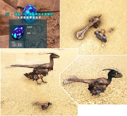 方舟生存进化生物篇小盗龙