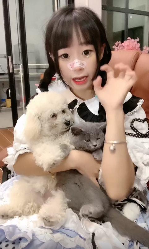 靠嘤嘤声走红却被群嘲成低配版安妮安静公主还能火多久