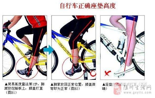 山地 公路自行车骑行知识