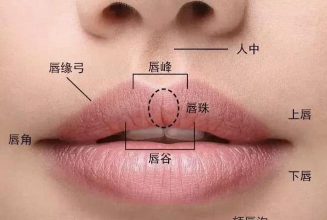 4种好看唇形m唇甜美含珠唇丰满你是哪种