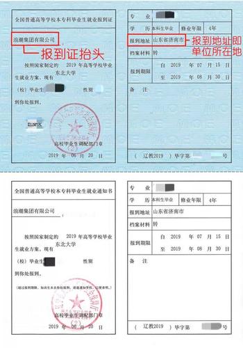 2019届本科毕业生《报到证》调整改派和丢失补办流程