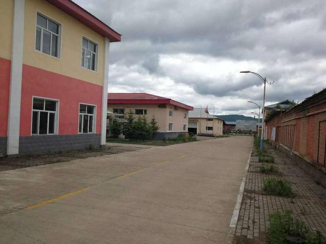 【第二次拍卖】伊春市翠峦区黑龙江伊春大路木业有限责任公司场区内