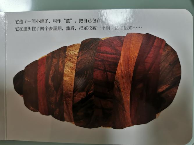 到后来,小毛毛虫结茧咯,化成了美丽的色彩缤纷的蝴蝶.