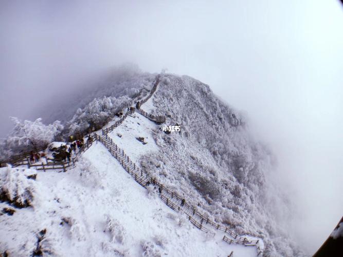 成都西岭雪山——雪景很美_西岭雪山_景点_雪景_成都自由行热门攻略
