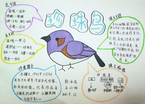 一起"画"语文(41)——《珍珠鸟》
