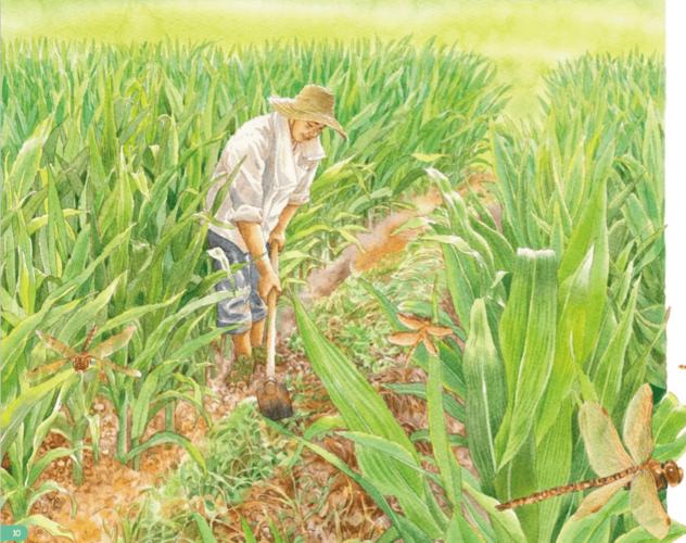 古诗来读一首关于农民伯伯艰辛劳动的古诗吧