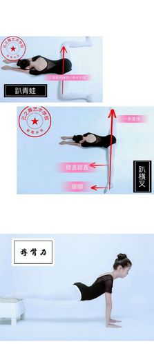 budiye 馆藏分类 1趴横叉:每天趴横叉15-20分钟,要求屁股挨着墙,膝盖