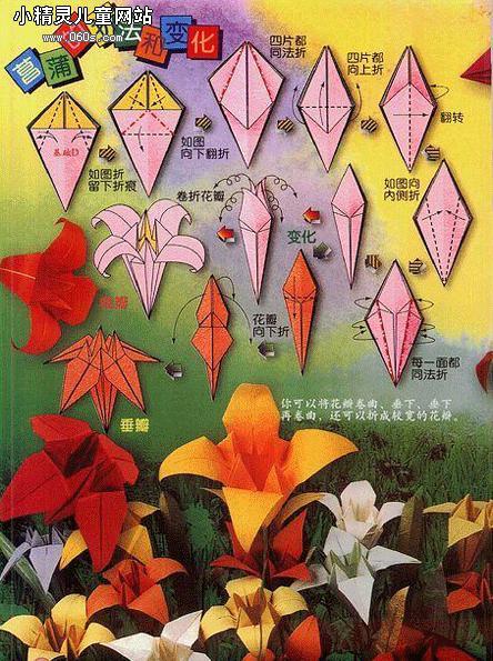 花朵折纸教程:菖蒲