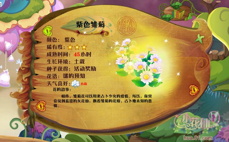 小花仙雏菊 小花仙雏菊花花种