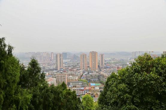 大英县|遂宁|市