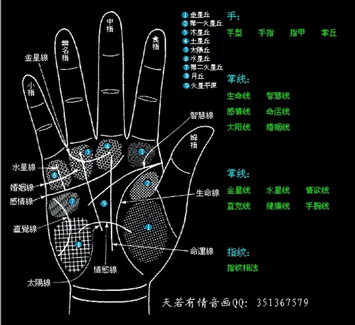 手相算命 - 轩潇 - 轩潇~秘境