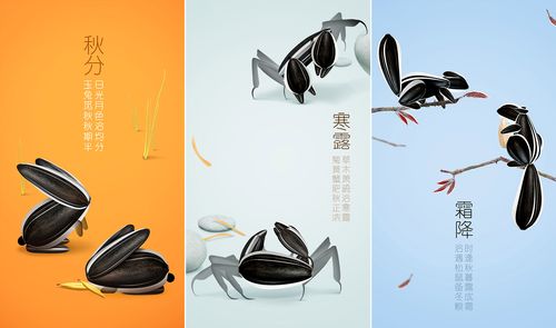 系列节气海报