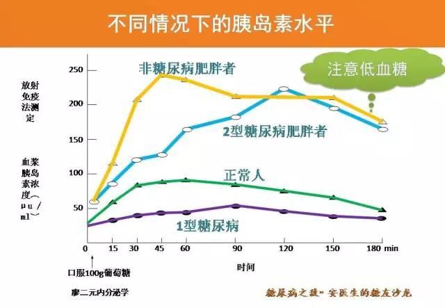 第一种情况为: 胰岛素分泌不足型(见上图的1型糖尿病分泌曲线)