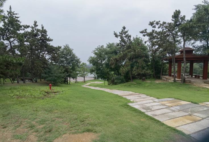 今早东海青松岭森林公园