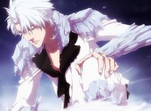 完全解放状态的"大红莲冰轮丸"