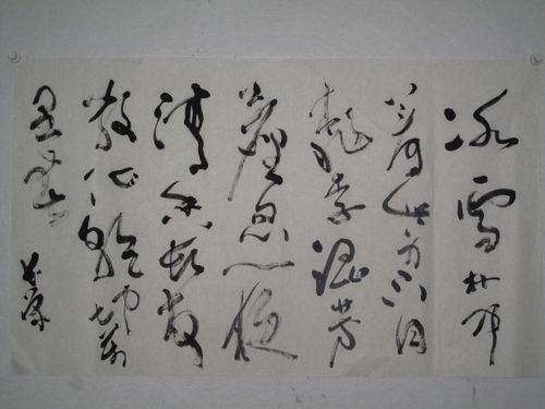谭长荣书法冰雪林中诗斗方
