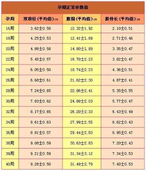 双顶径:55mm,头围:197mm,腹围183mm,股骨39mm.胎心率