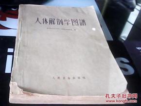 人体解剖学图谱(1961年版.书因年代久.书皮不太好)---存放南四
