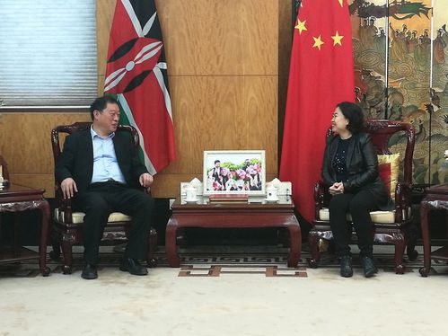 驻肯尼亚大使孙保红会见中联部交流小组
