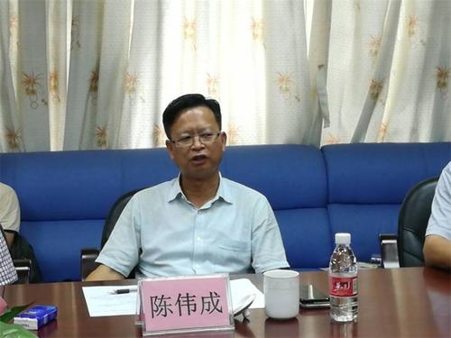 开平市委常委陈伟成到马冈镇督导省卫生镇创建工作