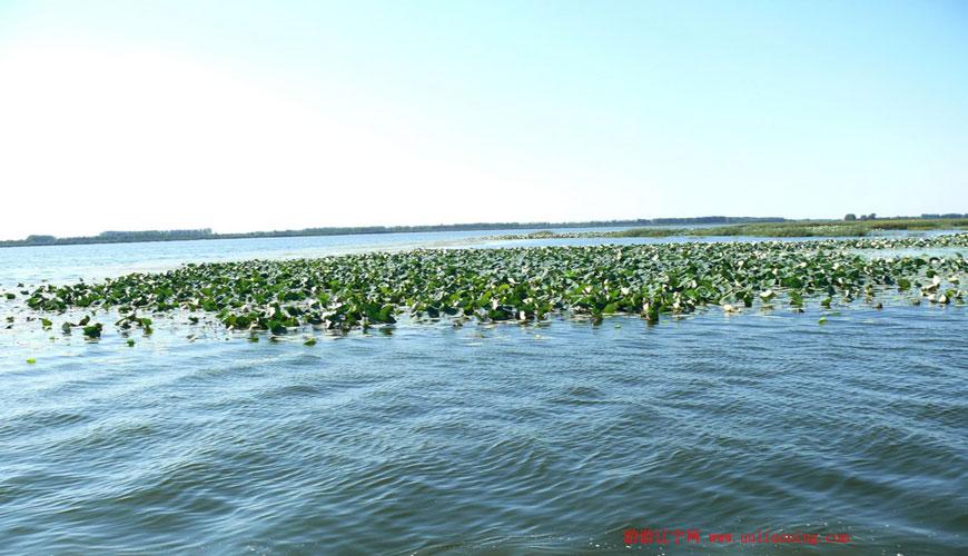 珍珠湖风景区