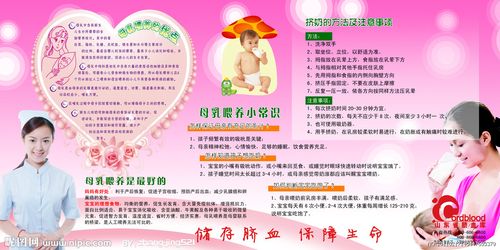 妇产科宣传挂图 母婴健康宣传《如何成功进行母乳》母婴护理知