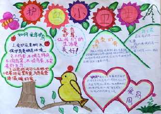 爱护小鸟幼儿园手抄报