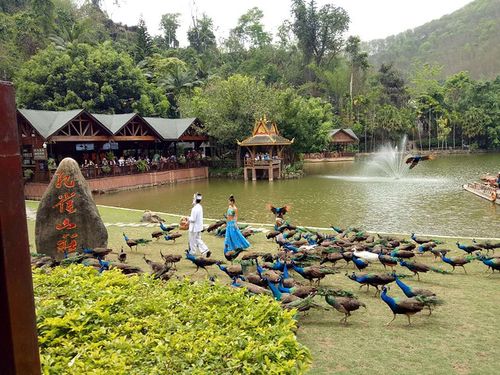 西双版纳原始森林公园好玩吗?