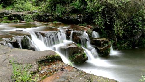 在天长地久的承诺中,陪你看细水长流——父母爱情的模样