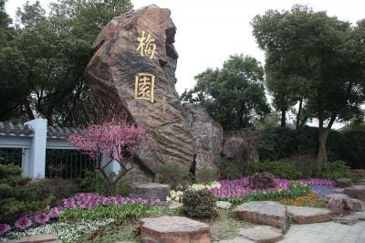 苏州园林,水乡古镇,无锡梅园赏春
