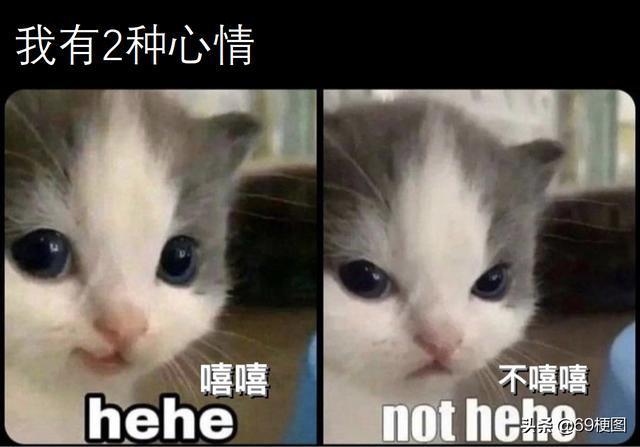 梗图合集:你们给我解释一下,这是怎么回事