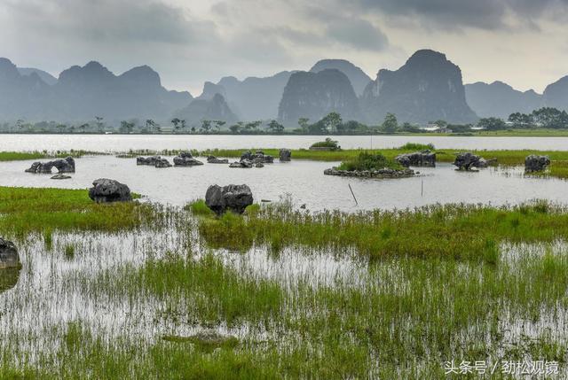 值得一去的湿地公园:广西南宁市上林县毛塘湿地公园