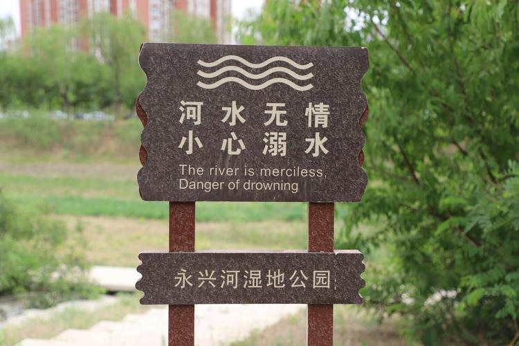 晨练永兴河湿地公园