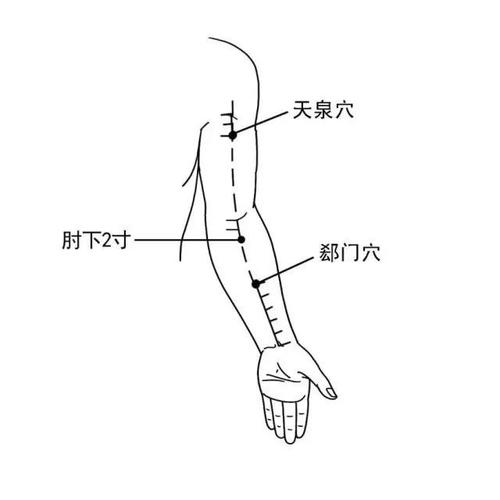 天泉穴