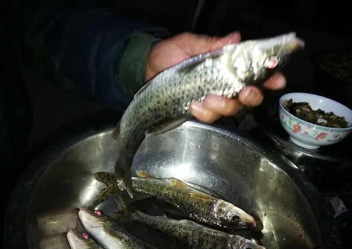 长寿湖里的麻狗鱼,浑身"芝麻点",肉质却很鲜美远胜鲫鱼