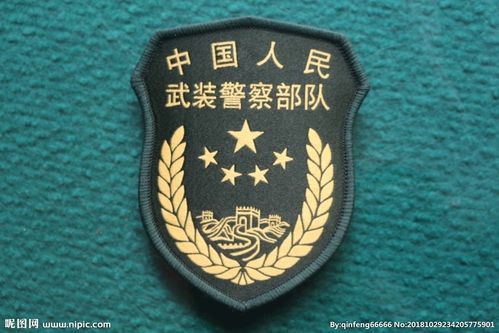 武警臂章图片