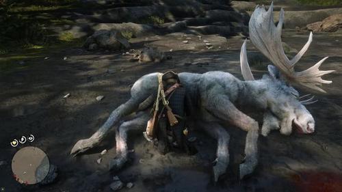 荒野大镖客2:成功率99.9%,教你无限刷传说动物皮毛,且看且珍惜