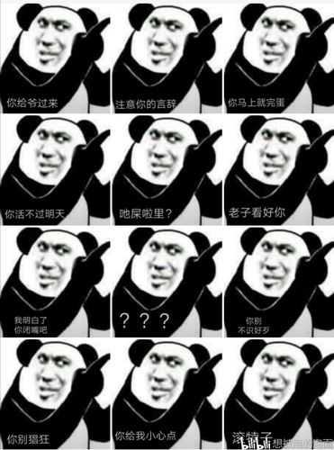 小熊猫表情包1