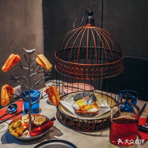 笨鸟earlybird图片
