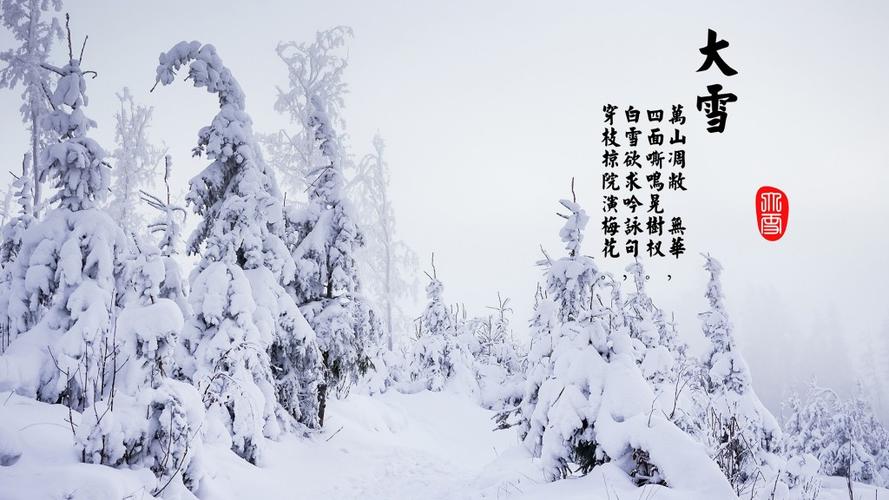 大雪节气唯美雪景文字创意图片壁纸 (2/3)