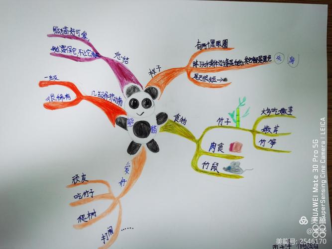 描写动物思维导图