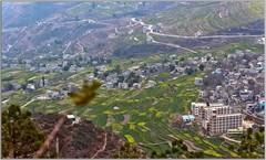 大渡河峡谷之上的皇木镇.红花村.