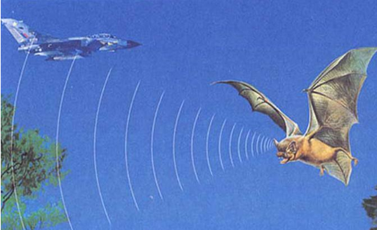 仿生学的例子有哪些?