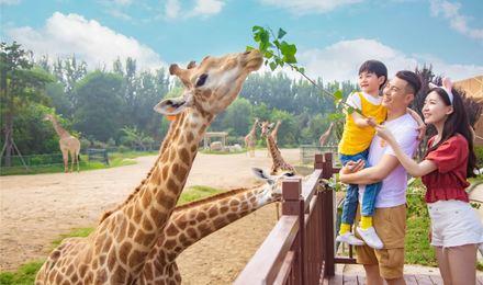 (特惠中)济南泉城欧乐堡动物王国电子票(山东首个有缆车的动物园)