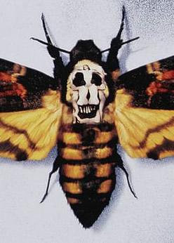 沉默的羔羊全方位详解狂拦五项奥斯卡的恐怖片你确定不来看看