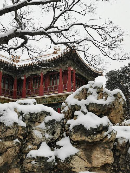 雪中故宫御花园别样的美
