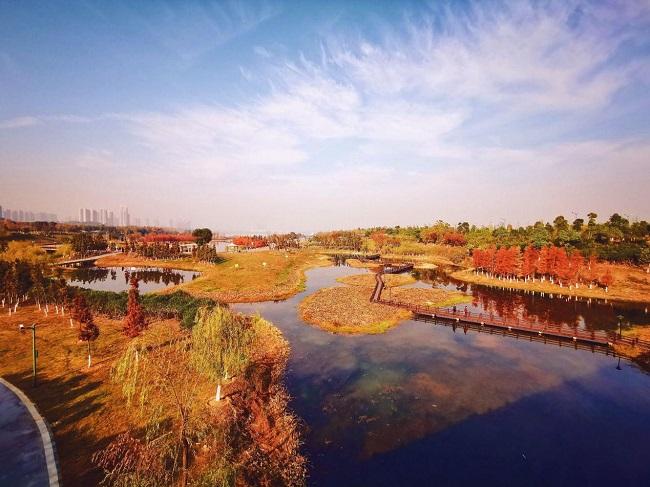 《梧州苍海国家湿地公园施工设计》