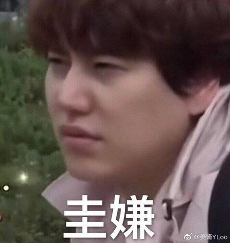 圭贤是表情包大户(响起门爷的声音