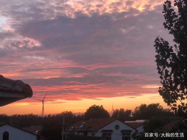 8.13郑州的晚霞