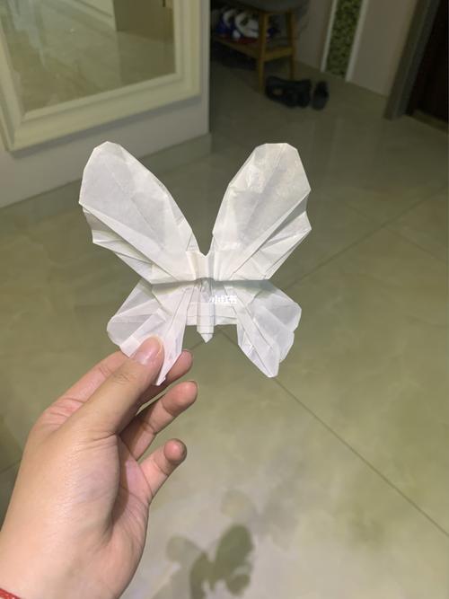 从大扑棱蛾子到小扑棱蛾子_折纸_教程_折纸教程_兴趣爱好_手工